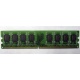Модуль оперативной памяти 4096Mb DDR2 Patriot PSD24G8002 pc-6400 (800MHz)  (Бронницы)