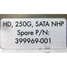 HP 250G 7.2k 432337-001/ 399699-001 / 397377-004 SATA HDD (Бронницы)