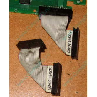 6017B0045701 Шлейф 24 pin для Intel C74974-401 T0043401-B01 корпуса SR2400 (Бронницы)