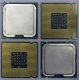 Процессоры Intel Pentium-4 506 (2.66GHz /1Mb /533MHz) SL8J8 s.775 (Бронницы)